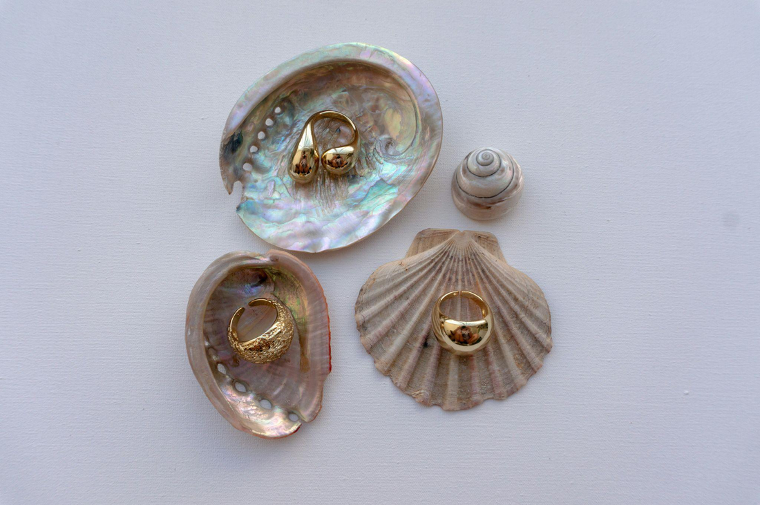 gold rings placed on seashells on a light background